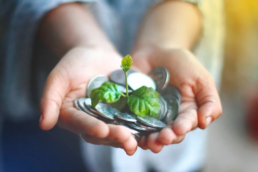 Hands cupping coins with a small plant sprouting, symbolizing abundance